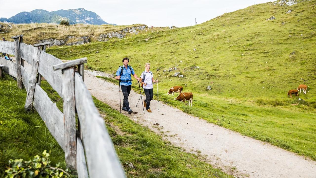 Pension Wolfsegg Kirchberg in Tirol Bagian luar foto
