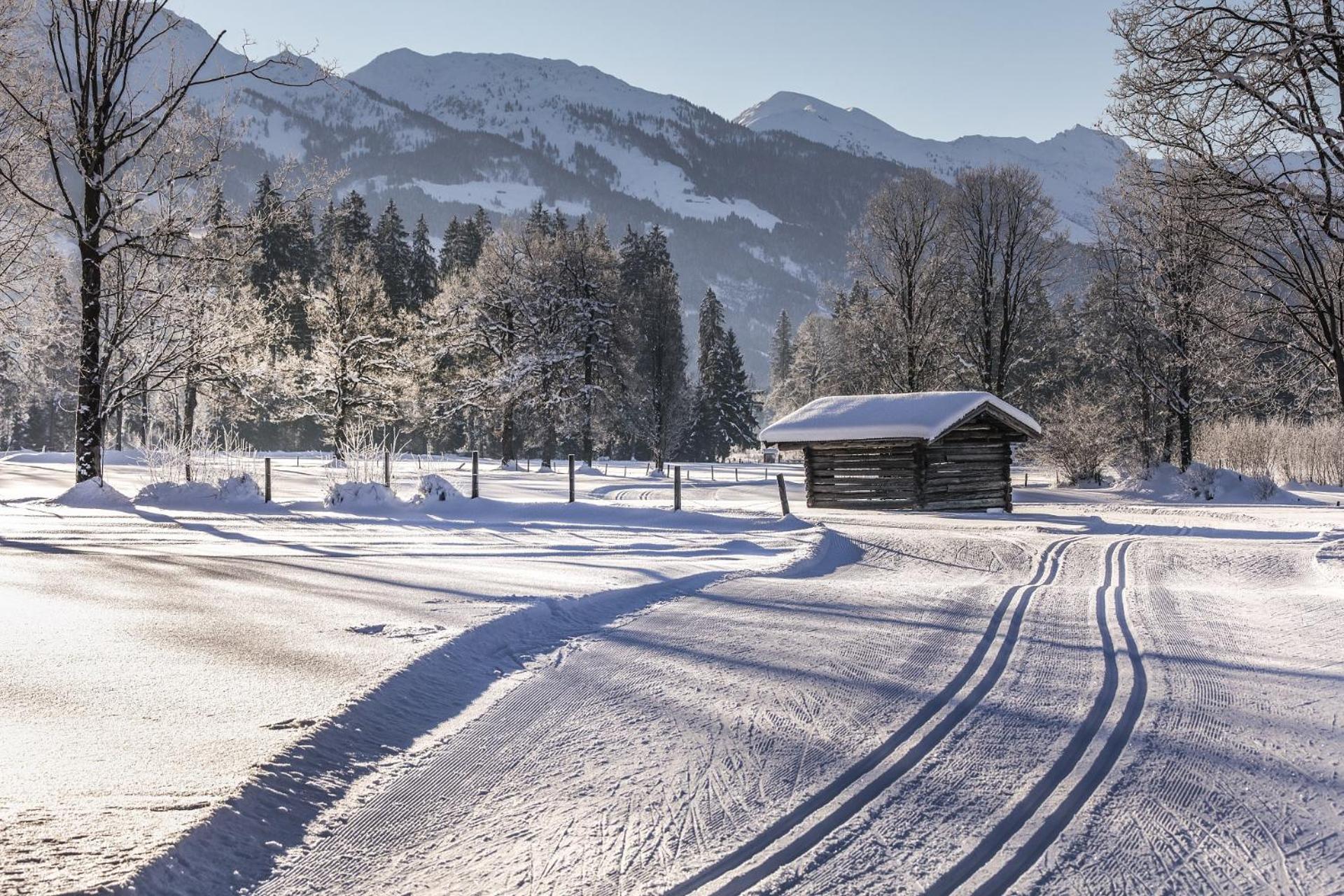 Pension Wolfsegg Kirchberg in Tirol Bagian luar foto